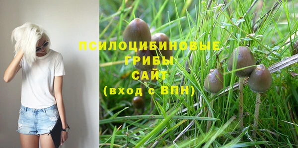 гидра Алексин