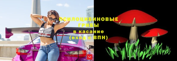 стафф Алзамай