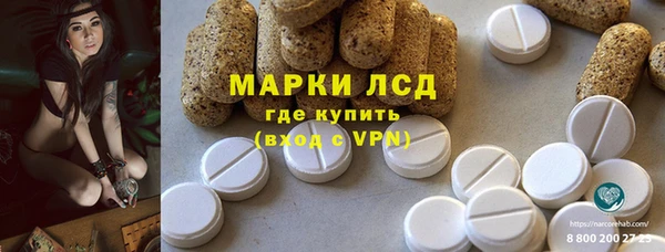 стафф Алзамай