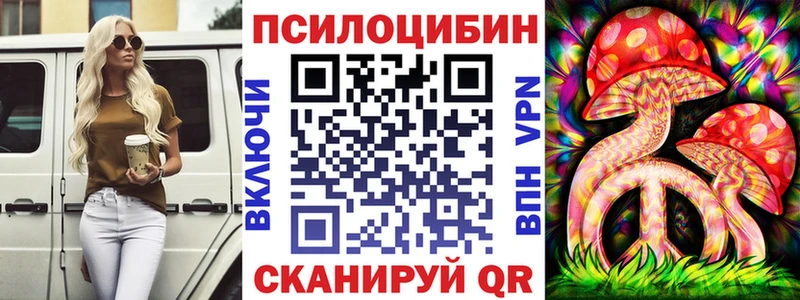 Псилоцибиновые грибы Psilocybine cubensis  Шлиссельбург 